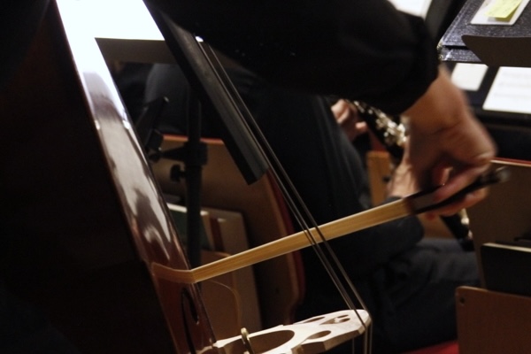 close-up view of the string bass bridge and the bow being drawn across the strings