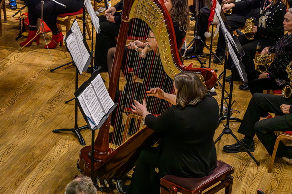 woman dressed in black, seated on a padded bench before a large gold and red harp