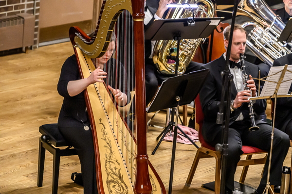 woman in black, playing a large harp